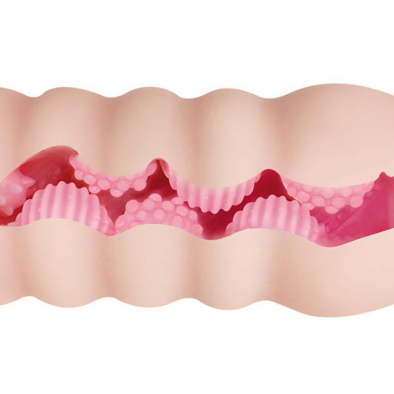 Alternative view of ６連肉塊　衝凸ラミア