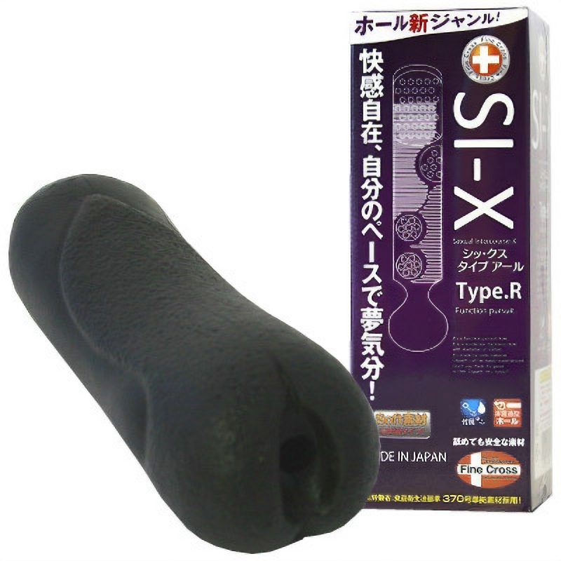 ＳＩ－Ｘ　Ｔｙｐｅ．Ｒ（シックス　タイプアール）