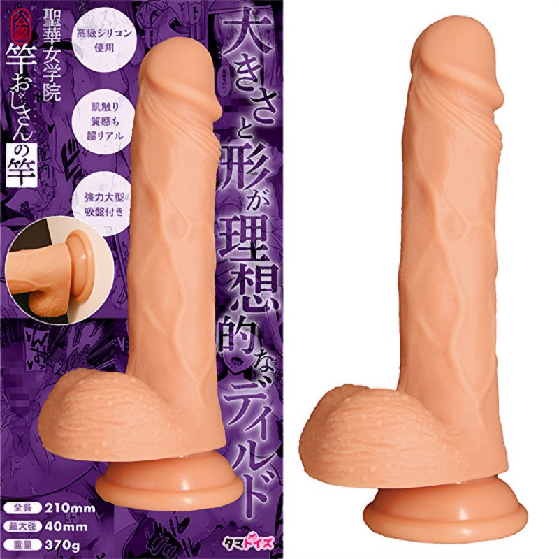 Alternative view of 聖華女学院公認竿おじさんの竿