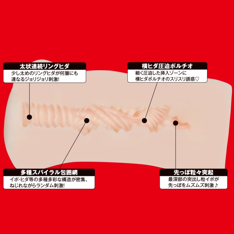 Alternative view of ＪＡＰＡＮＥＳＥ　ＲＥＡＬ　ＨＯＬＥ　（淫　夢乃あいか）